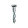 Ambrovit TIRAFONDI PER LEGNO TE Chiave 17 mm. 10x200  50 PZ.