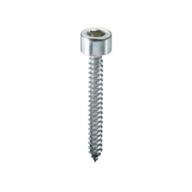 Ambrovit VITE AUTOFILETTANTE TC CON ESAGONO INCASSATO  mm. 5,5x32