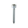 Ambrovit VITE AUTOFILETTANTE TC CON ESAGONO INCASSATO  mm. 5,5x32