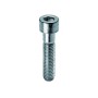Ambrovit VITE IN ACCIAIO TC CON ESAGONO INCASSATO  M 5x60 mm.