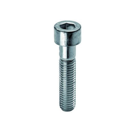 Ambrovit VITE IN ACCIAIO TC CON ESAGONO INCASSATO  M 6x80 mm.