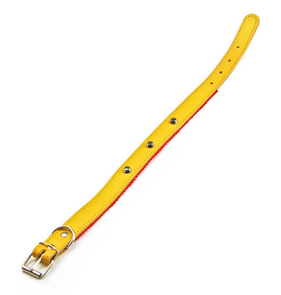 Utilia Pet COLLARE IN CUOIO FELPATO CON BORCHIE cm. 44x2,0 col. Assortiti