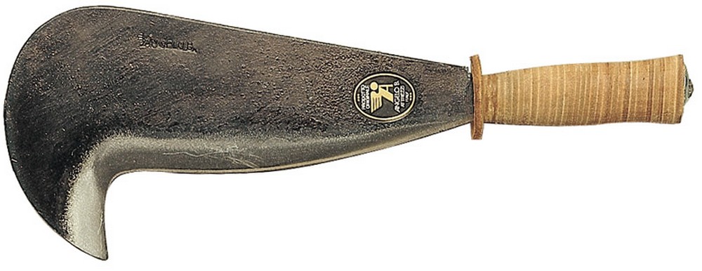 Angelo B. RONCOLA MAREMMA cm. 30