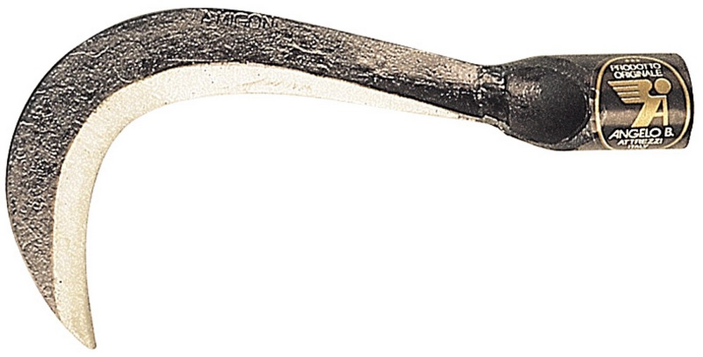 Angelo B. RONCOLINO PER FUNGHI cm. 12