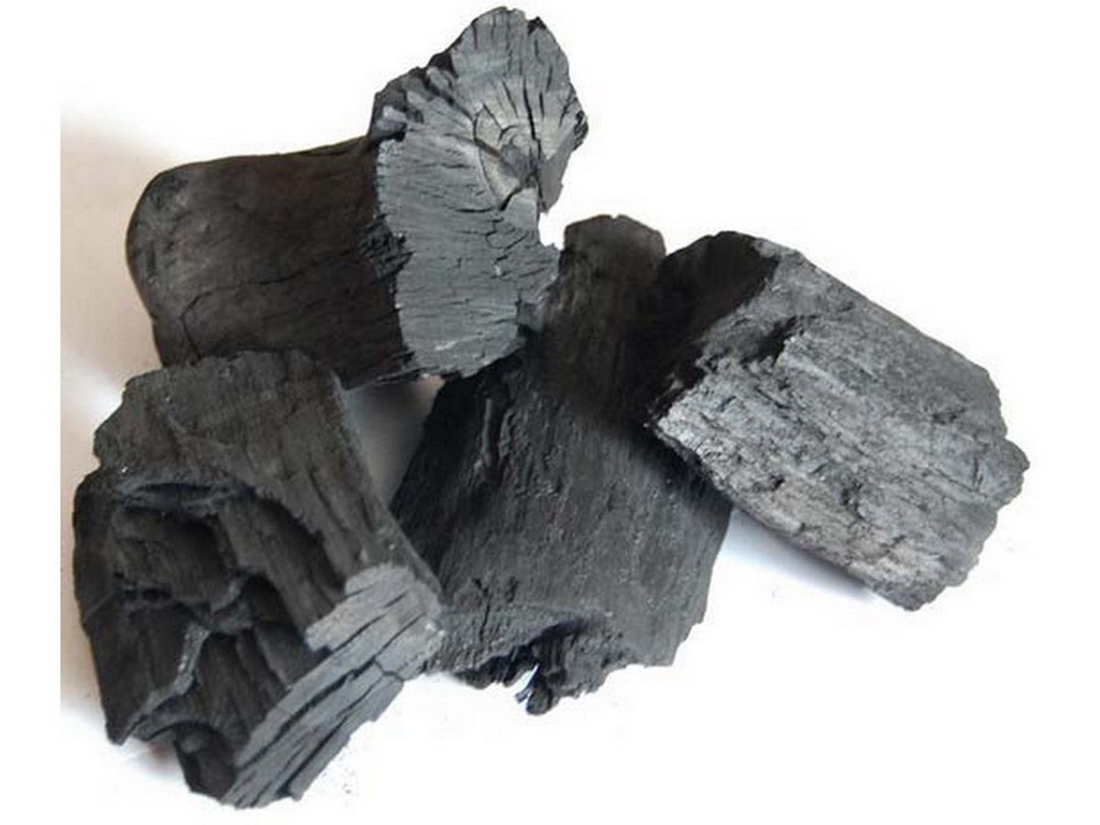 CARBONE DI LEGNA ARGENTINO sacco da kg.10 circa