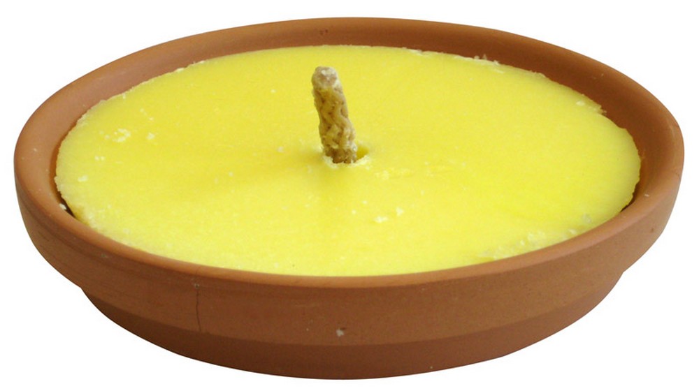 CITRONELLA IN PADELLA DI TERRACOTTA MADE INTALY  Ø cm. 14