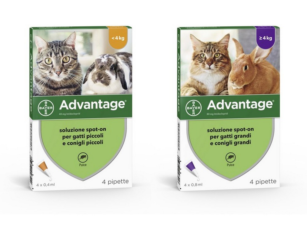 Elanco ANTIPARASSITARIO ADVANTAGE PER GATTI E CONIGLI inferiori a kg.  4 (4 pipette)