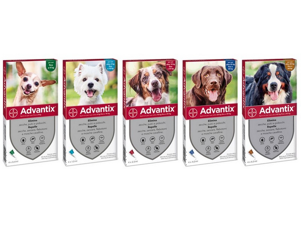 Elanco ANTIPARASSITARIO ADVANTIX (4 pipette)  per cani fino a 4 kg. 