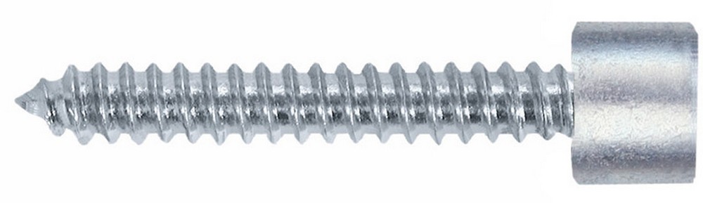 Friulsider VITE AUTOFILETTANTE ZINCATA TC CON ESAGONO INCASSATO  mm. 4,8x38