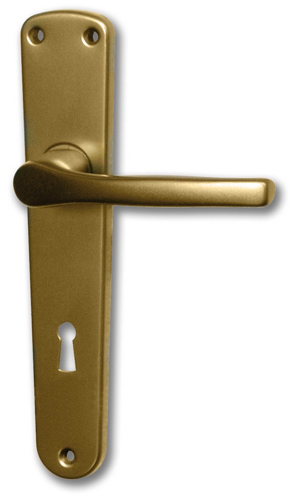Ghidini MANIGLIA F4 FORO PATENT  dist. 90