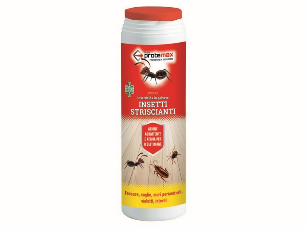 INSETTICIDA IN POLVERE  gr. 200